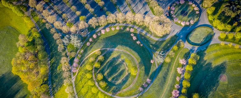 Digitale Sichtbarkeit für Unternehmen in Bonn aufbauen