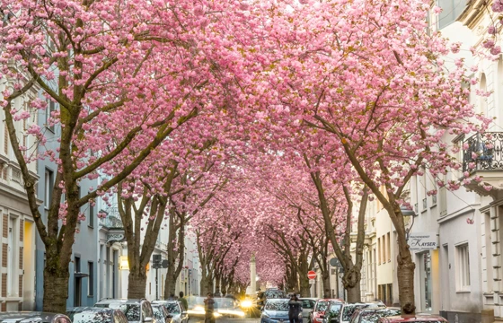 Unternehmer im Gespräch beim Netzwerktreffen in Bonn